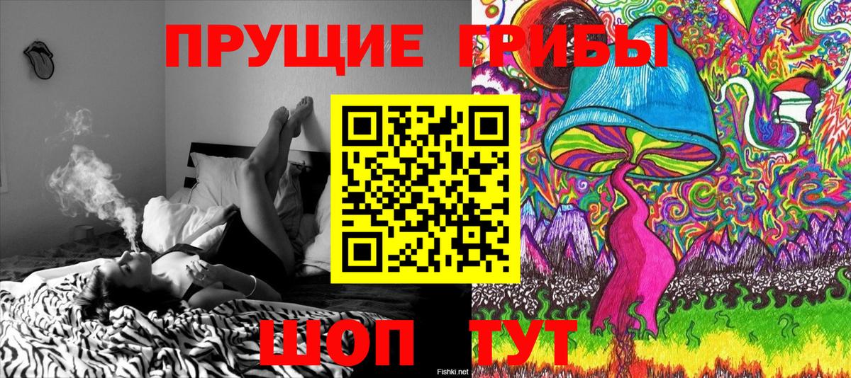 Солнечногорск  Галлюциногенные грибы Psilocybe  Вход с VPN 