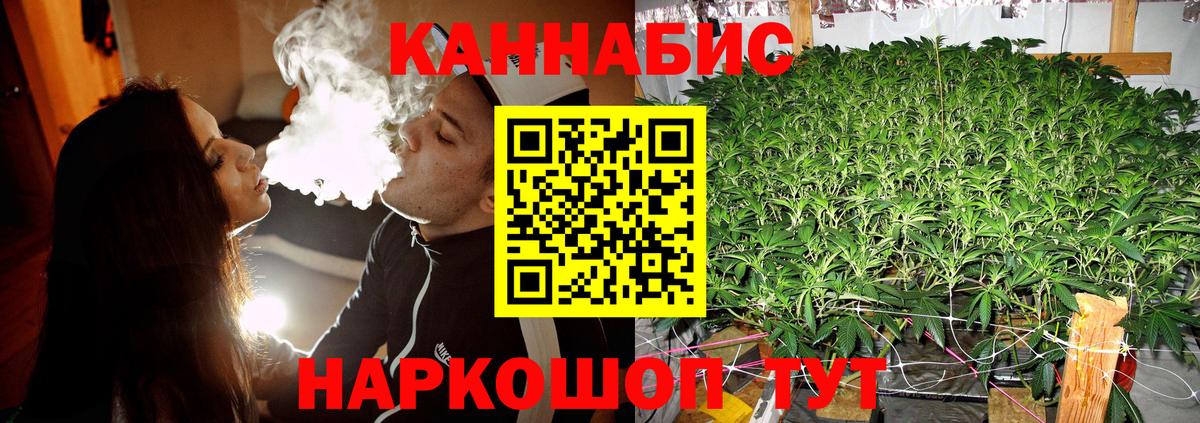 Канабис гибрид Солнечногорск